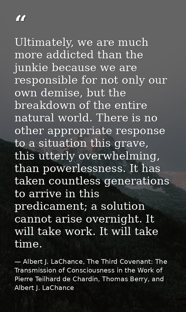 Ultimately, we are much more addicted than the junkie because we are responsible for not only our own demise, but the br — Albert J. LaChance, The Third Covenant: The Transmission of Consciousness in the Work of Pierre Teilhard de Chardin, Thomas Berry, and Albert J. LaChance