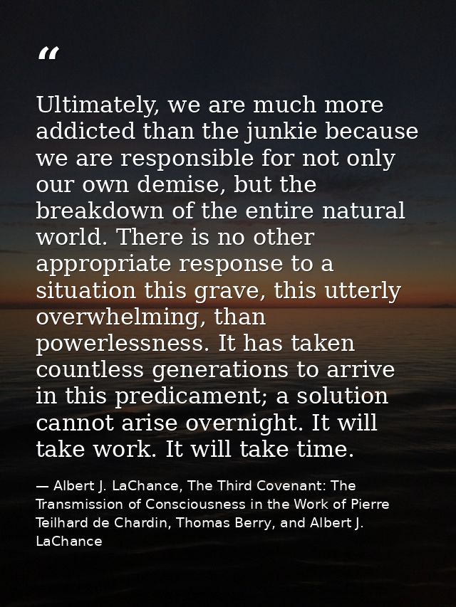 Ultimately, we are much more addicted than the junkie because we are responsible for not only our own demise, but the br — Albert J. LaChance, The Third Covenant: The Transmission of Consciousness in the Work of Pierre Teilhard de Chardin, Thomas Berry, and Albert J. LaChance