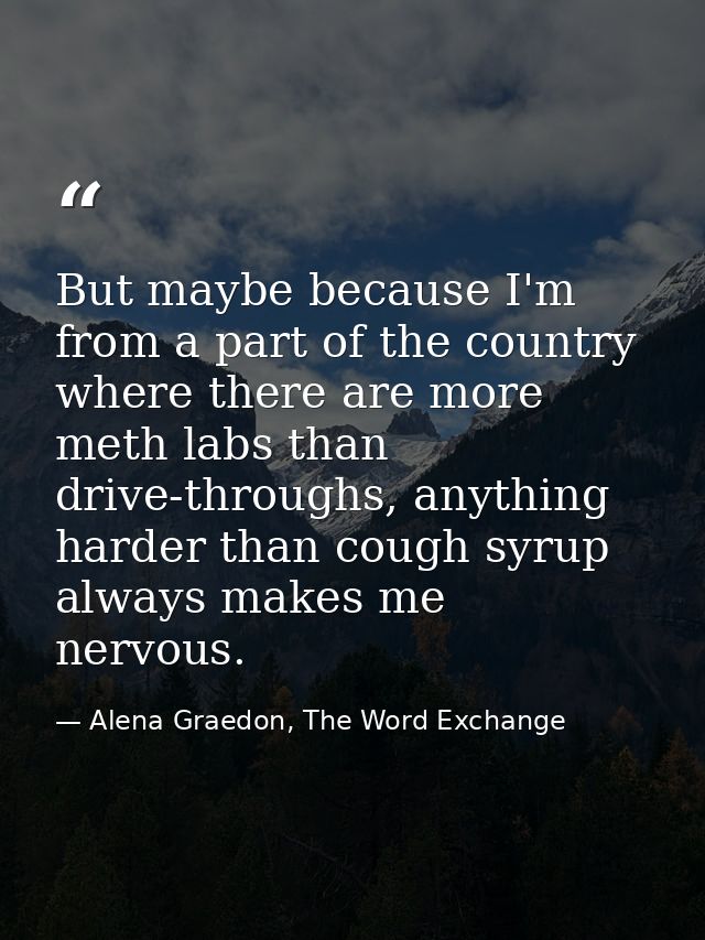 But maybe because I'm from a part of the country where there are more meth labs than drive-throughs, anything harder tha — Alena Graedon, The Word Exchange