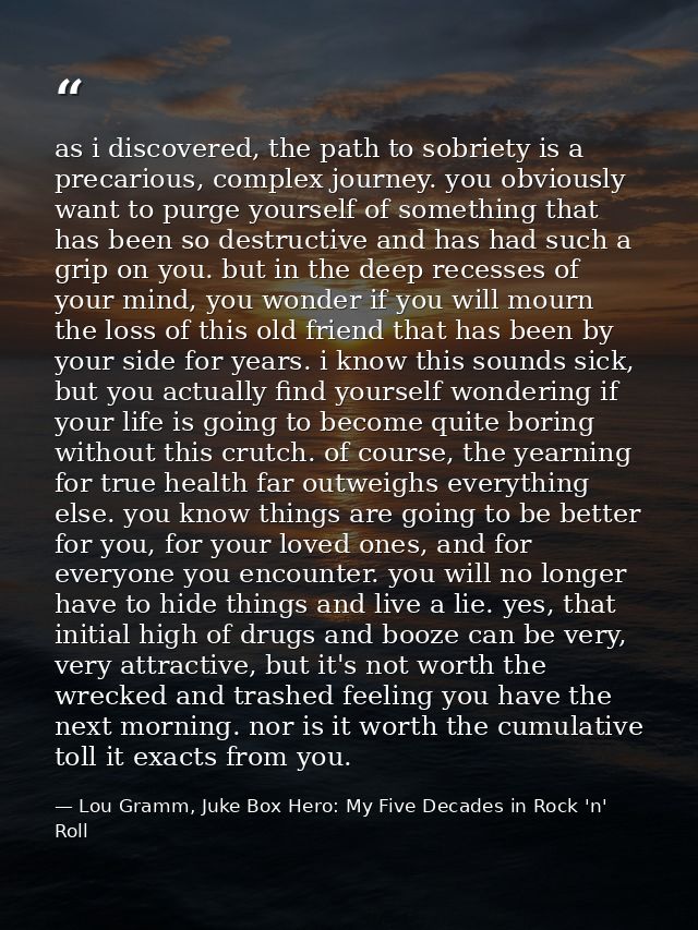 as i discovered, the path to sobriety is a precarious, complex journey. you obviously want to purge yourself of somethin — Lou Gramm, Juke Box Hero: My Five Decades in Rock 'n' Roll