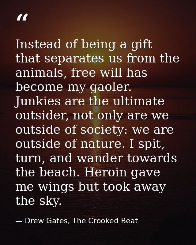 Instead of being a gift that separates us from the animals, free will has become my gaoler. Junkies are the ultimate out — Drew Gates, The Crooked Beat