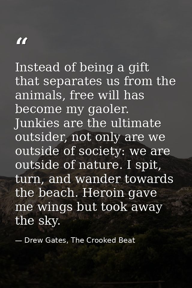 Instead of being a gift that separates us from the animals, free will has become my gaoler. Junkies are the ultimate out — Drew Gates, The Crooked Beat