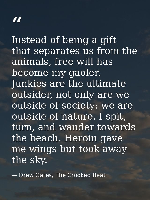 Instead of being a gift that separates us from the animals, free will has become my gaoler. Junkies are the ultimate out — Drew Gates, The Crooked Beat