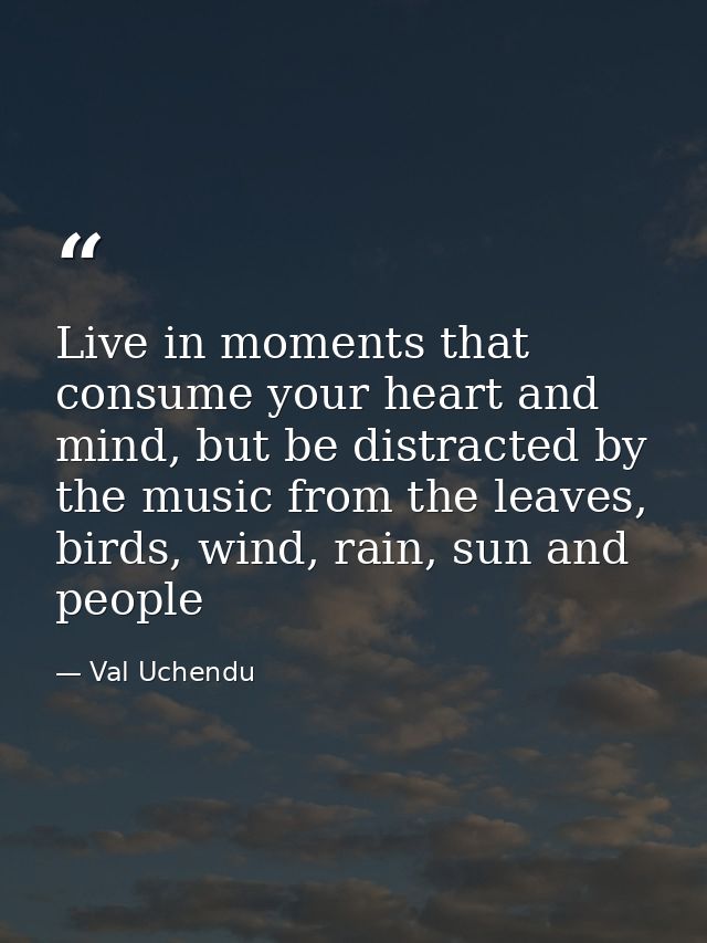 Live in moments that consume your heart and mind, but be distracted by the music from the leaves, birds, wind, rain, sun — Val Uchendu