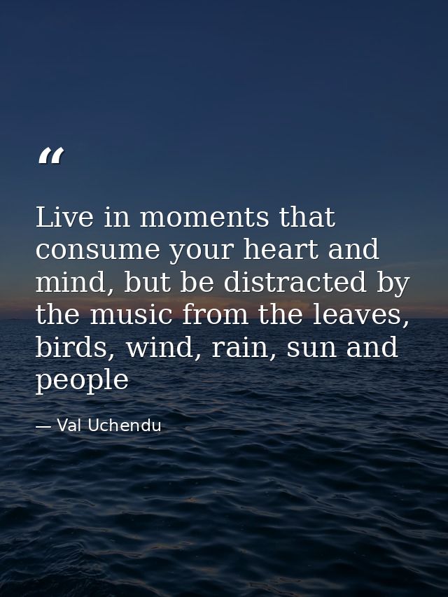 Live in moments that consume your heart and mind, but be distracted by the music from the leaves, birds, wind, rain, sun — Val Uchendu