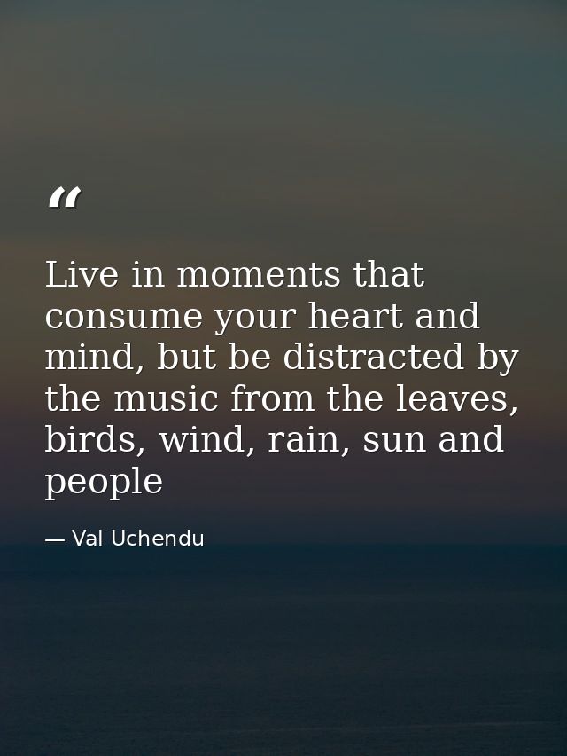 Live in moments that consume your heart and mind, but be distracted by the music from the leaves, birds, wind, rain, sun — Val Uchendu