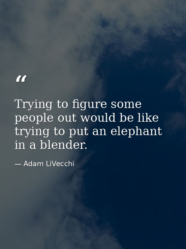 Trying to figure some people out would be like trying to put an elephant in a blender. — Adam LiVecchi