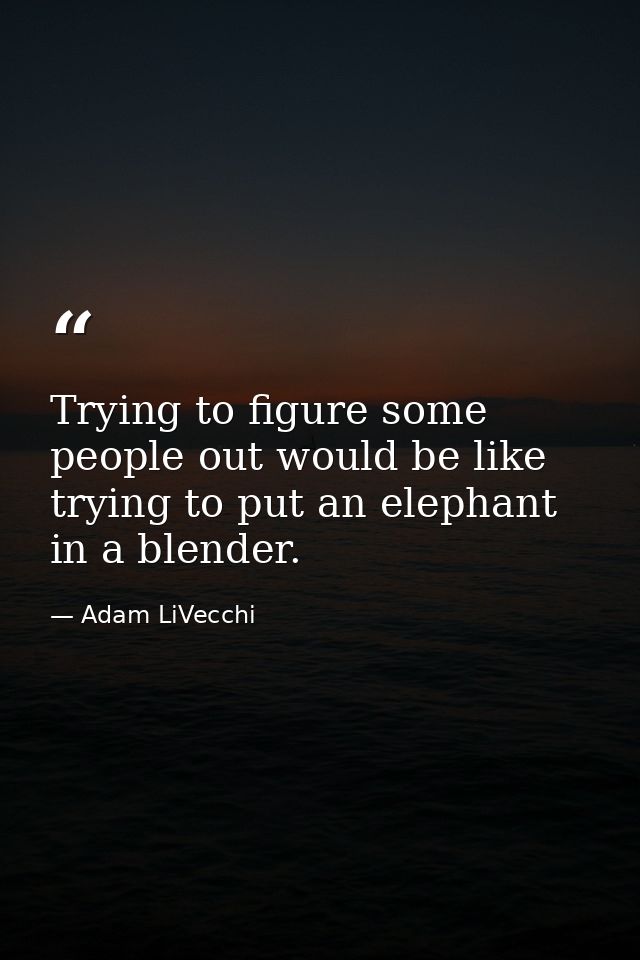 Trying to figure some people out would be like trying to put an elephant in a blender. — Adam LiVecchi