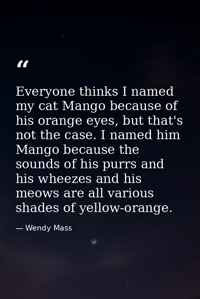 Everyone thinks I named my cat Mango because of his orange eyes, but that's not the case. I named him Mango because the  — Wendy Mass