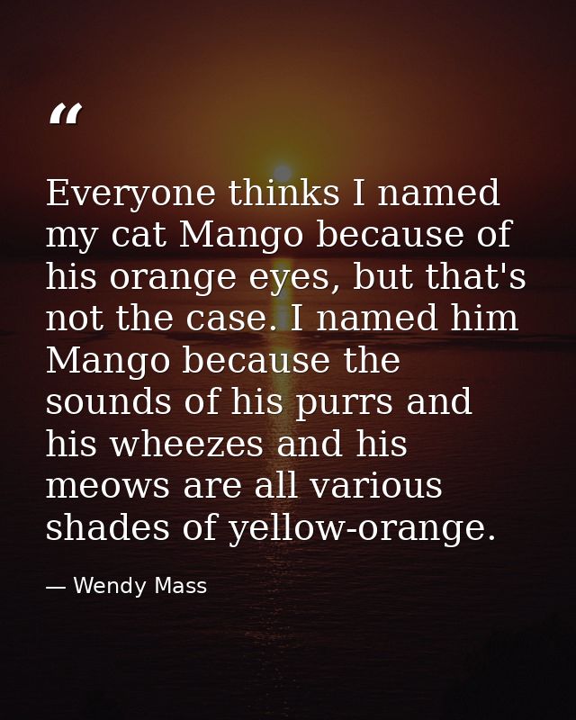 Everyone thinks I named my cat Mango because of his orange eyes, but that's not the case. I named him Mango because the  — Wendy Mass