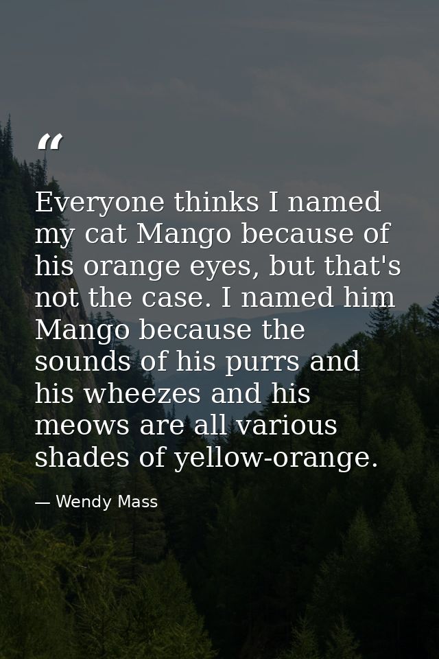 Everyone thinks I named my cat Mango because of his orange eyes, but that's not the case. I named him Mango because the  — Wendy Mass