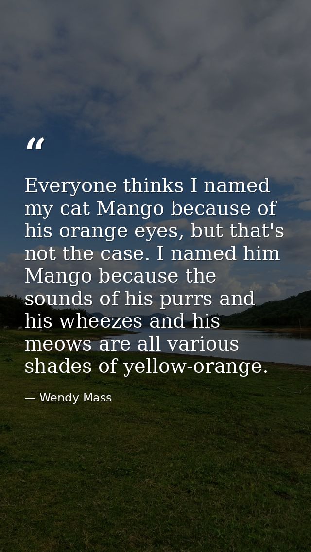 Everyone thinks I named my cat Mango because of his orange eyes, but that's not the case. I named him Mango because the  — Wendy Mass