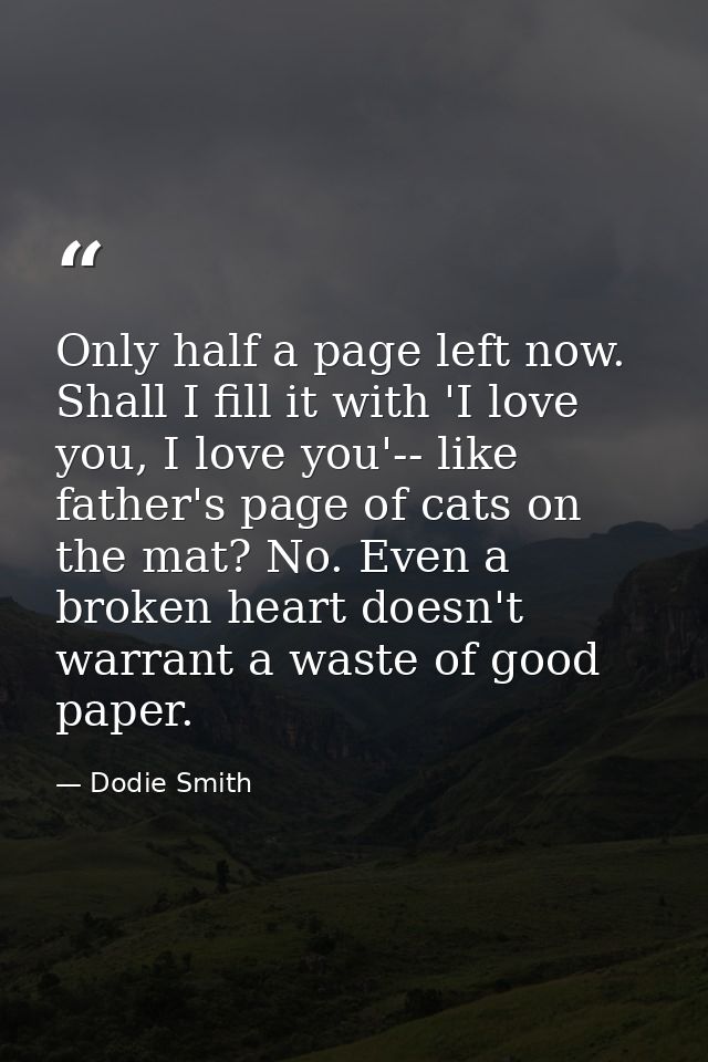Only half a page left now. Shall I fill it with 'I love you, I love you'-- like father's page of cats on the mat? No. Ev — Dodie Smith