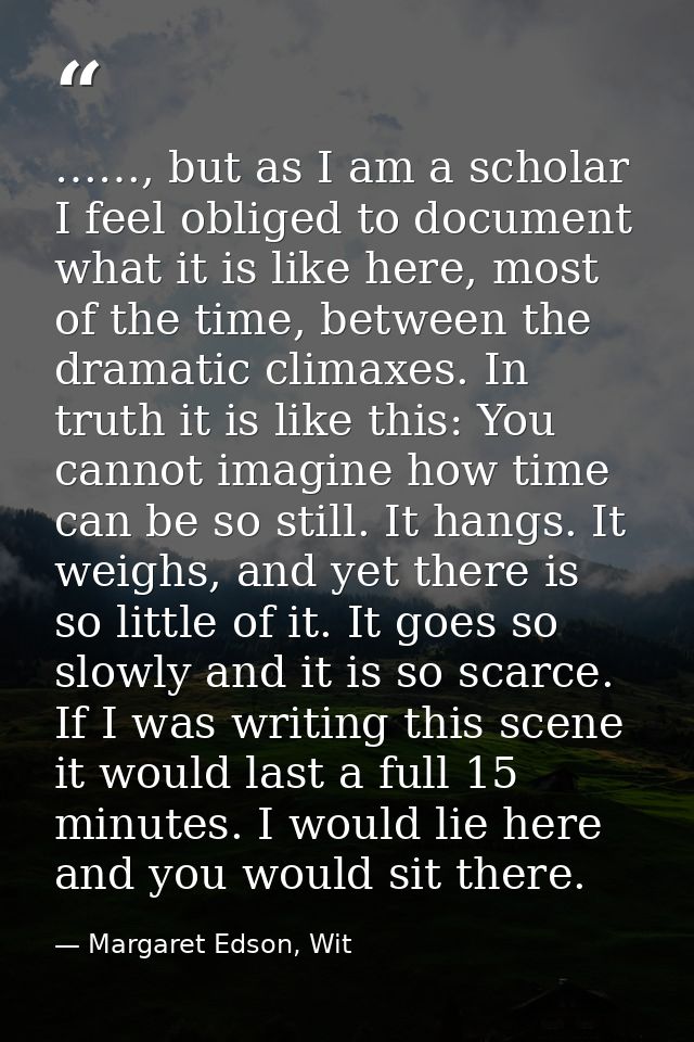……, but as I am a scholar I feel obliged to document what it is like here, most of the time, between the dramatic climax — Margaret Edson, Wit