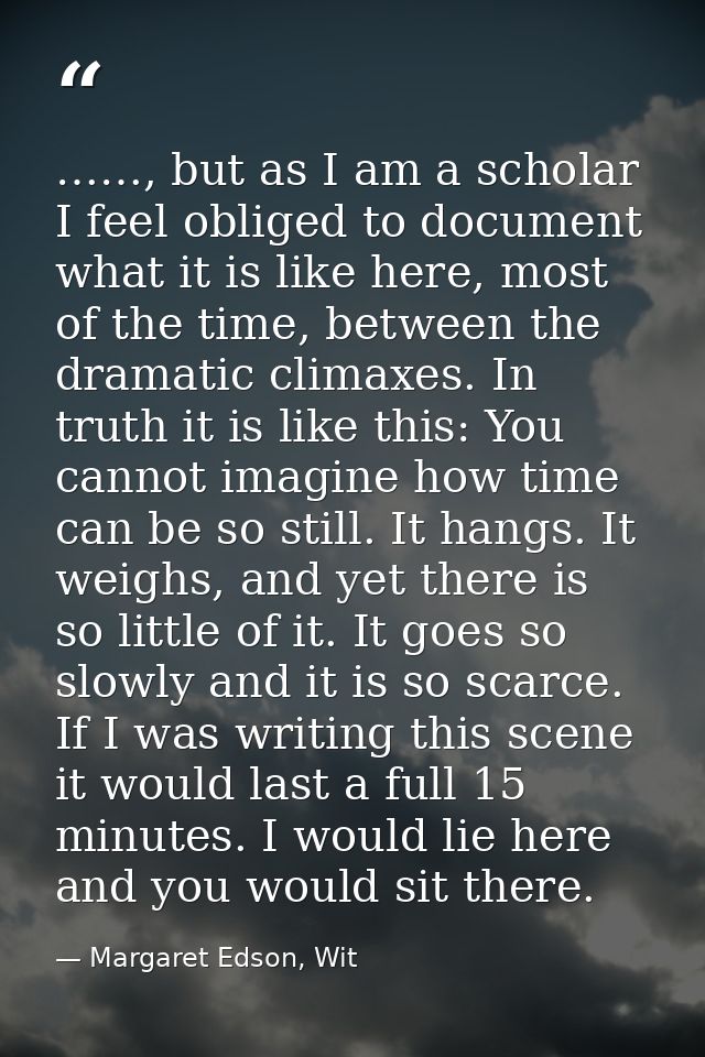 ……, but as I am a scholar I feel obliged to document what it is like here, most of the time, between the dramatic climax — Margaret Edson, Wit