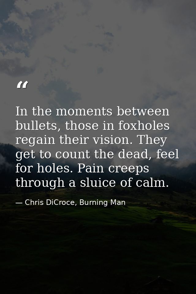 In the moments between bullets, those in foxholes regain their vision. They get to count the dead, feel for holes. Pain  — Chris DiCroce, Burning Man