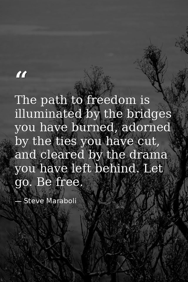 The path to freedom is illuminated by the bridges you have burned, adorned by the ties you have cut, and cleared by the  — Steve Maraboli