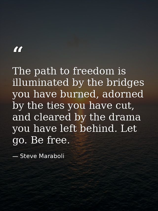 The path to freedom is illuminated by the bridges you have burned, adorned by the ties you have cut, and cleared by the  — Steve Maraboli