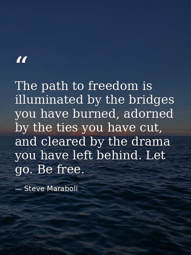 The path to freedom is illuminated by the bridges you have burned, adorned by the ties you have cut, and cleared by the  — Steve Maraboli