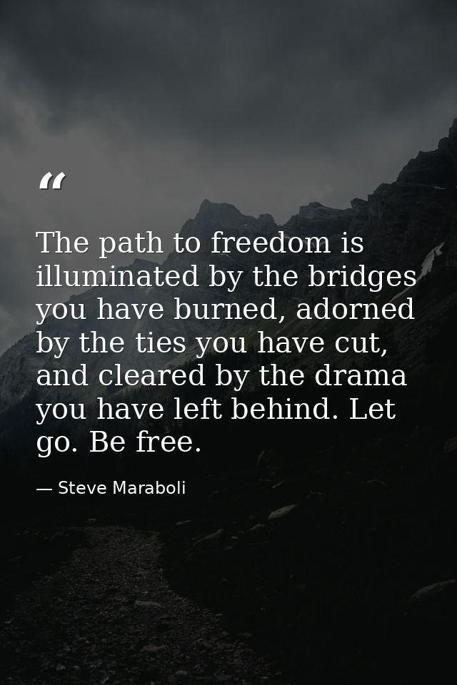 The path to freedom is illuminated by the bridges you have burned, adorned by the ties you have cut, and cleared by the  — Steve Maraboli