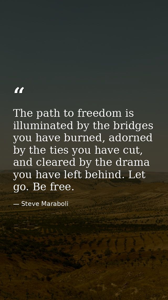 The path to freedom is illuminated by the bridges you have burned, adorned by the ties you have cut, and cleared by the  — Steve Maraboli
