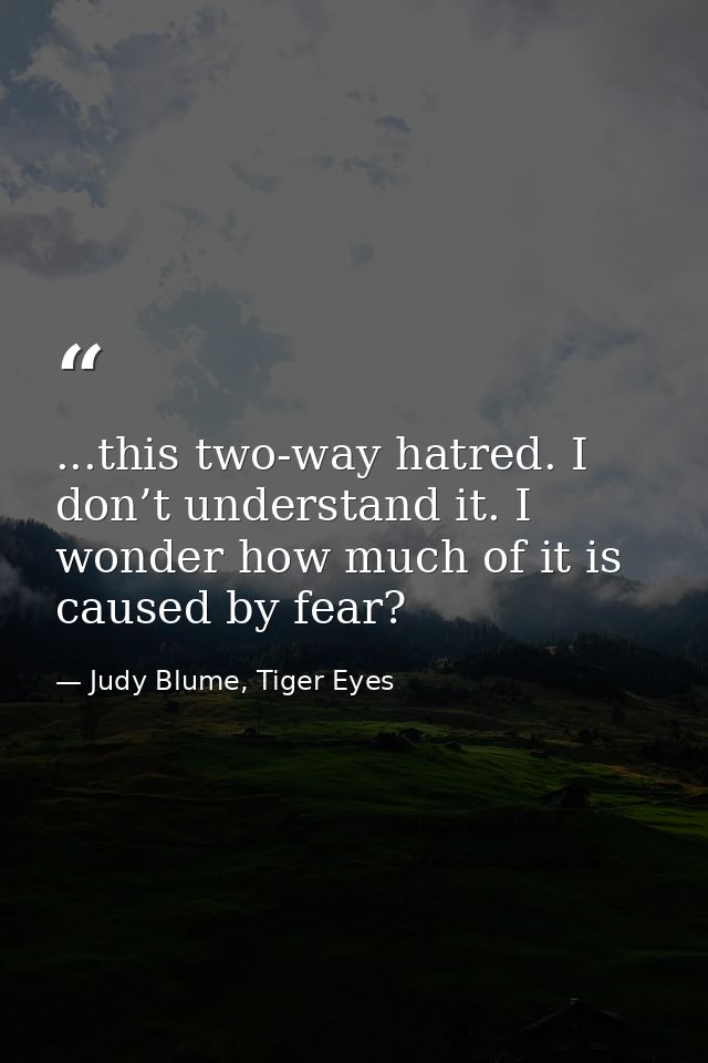 ...this two-way hatred. I don’t understand it. I wonder how much of it is caused by fear? — Judy Blume, Tiger Eyes