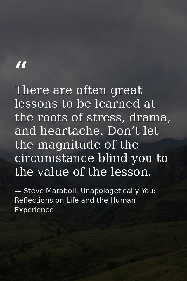 There are often great lessons to be learned at the roots of stress, drama, and heartache. Don’t let the magnitude of the — Steve Maraboli, Unapologetically You: Reflections on Life and the Human Experience