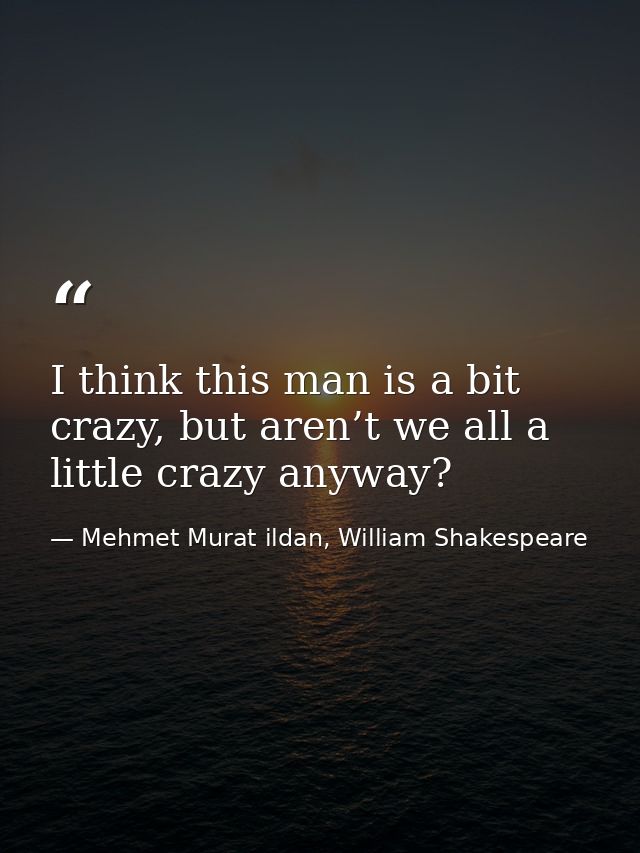 I think this man is a bit crazy, but aren’t we all a little crazy anyway? — Mehmet Murat ildan, William Shakespeare