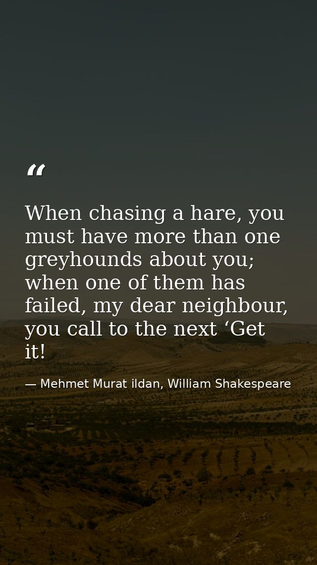 When chasing a hare, you must have more than one greyhounds about you; when one of them has failed, my dear neighbour, y — Mehmet Murat ildan, William Shakespeare
