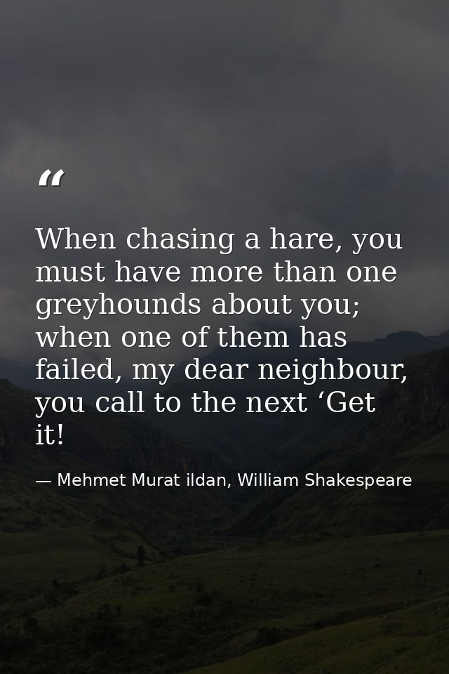 When chasing a hare, you must have more than one greyhounds about you; when one of them has failed, my dear neighbour, y — Mehmet Murat ildan, William Shakespeare