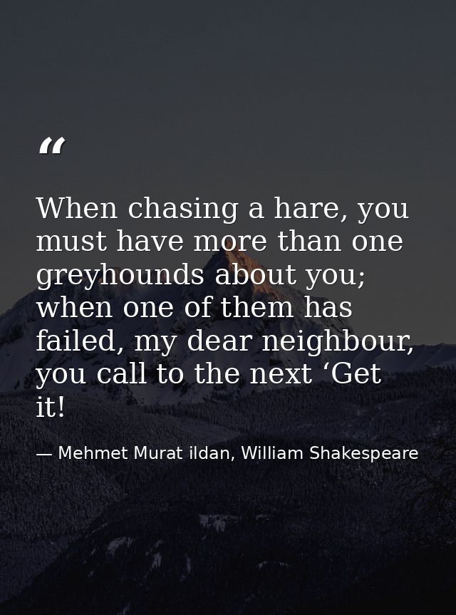 When chasing a hare, you must have more than one greyhounds about you; when one of them has failed, my dear neighbour, y — Mehmet Murat ildan, William Shakespeare