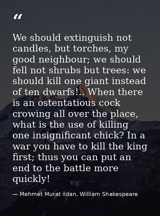 We should extinguish not candles, but torches, my good neighbour; we should fell not shrubs but trees: we should kill on — Mehmet Murat ildan, William Shakespeare