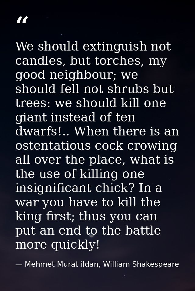 We should extinguish not candles, but torches, my good neighbour; we should fell not shrubs but trees: we should kill on — Mehmet Murat ildan, William Shakespeare