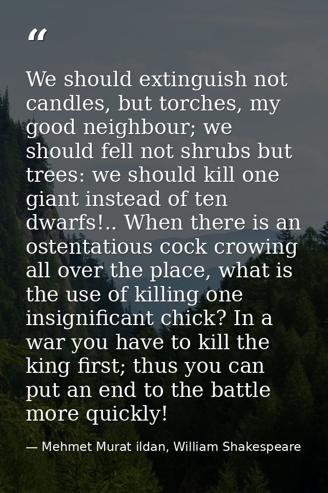 We should extinguish not candles, but torches, my good neighbour; we should fell not shrubs but trees: we should kill on — Mehmet Murat ildan, William Shakespeare