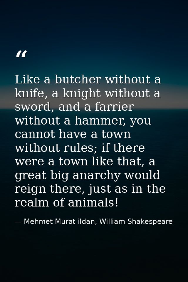 Like a butcher without a knife, a knight without a sword, and a farrier without a hammer, you cannot have a town without — Mehmet Murat ildan, William Shakespeare
