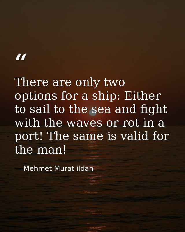 There are only two options for a ship: Either to sail to the sea and fight with the waves or rot in a port! The same is  — Mehmet Murat ildan