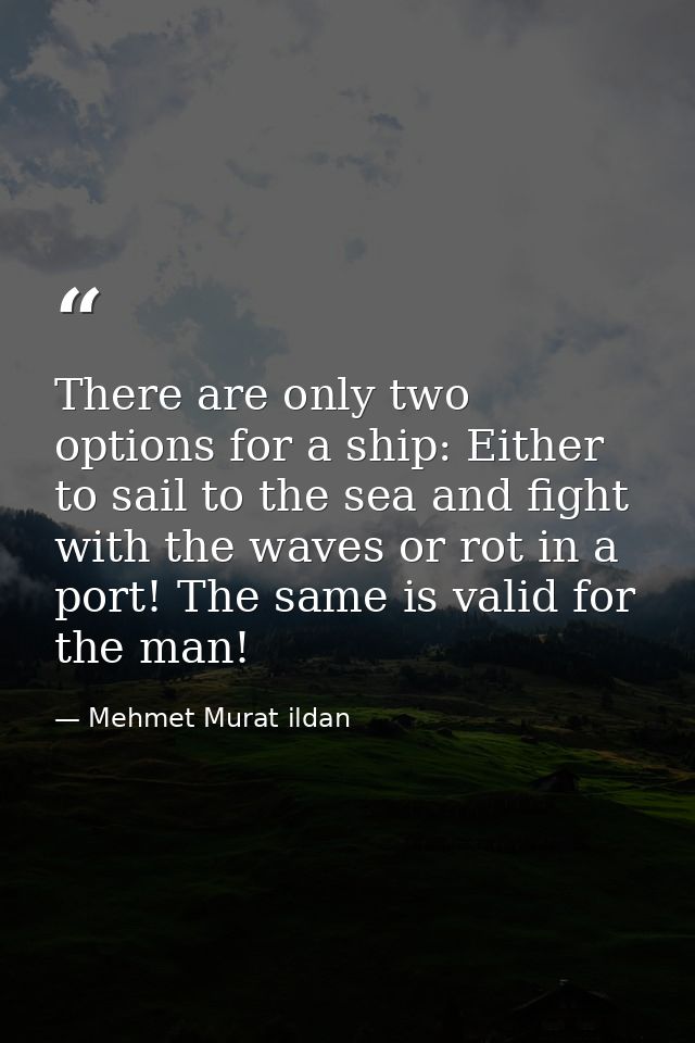 There are only two options for a ship: Either to sail to the sea and fight with the waves or rot in a port! The same is  — Mehmet Murat ildan