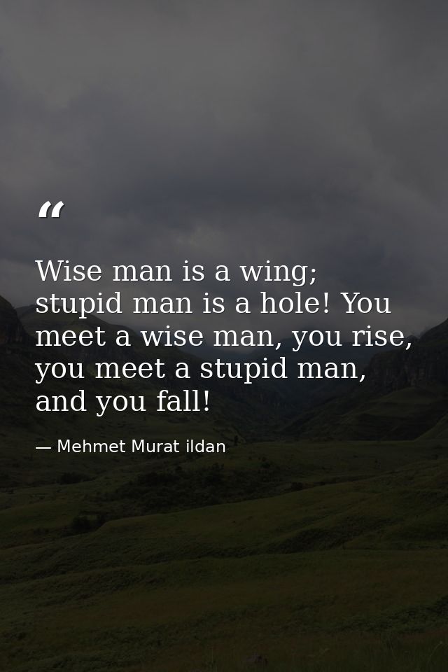 Wise man is a wing; stupid man is a hole! You meet a wise man, you rise, you meet a stupid man, and you fall! — Mehmet Murat ildan