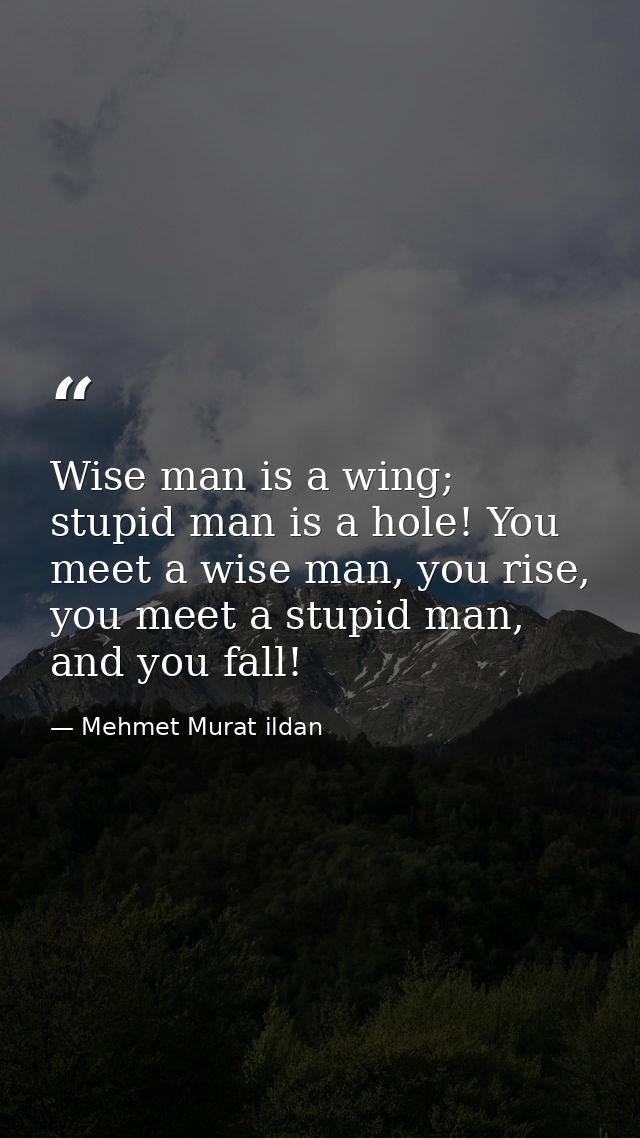 Wise man is a wing; stupid man is a hole! You meet a wise man, you rise, you meet a stupid man, and you fall! — Mehmet Murat ildan