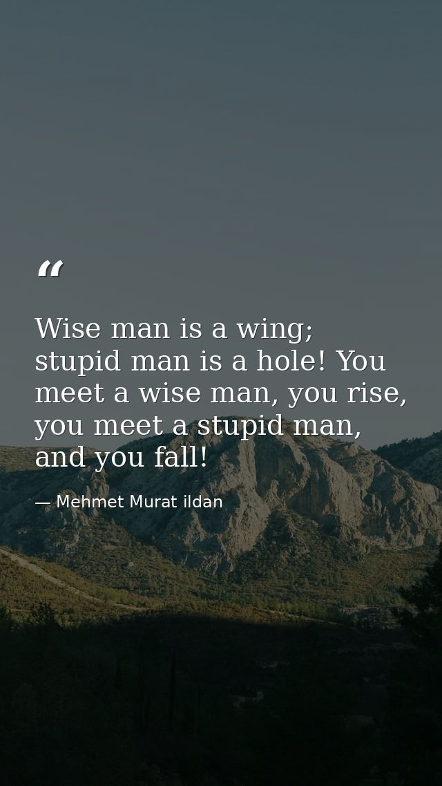 Wise man is a wing; stupid man is a hole! You meet a wise man, you rise, you meet a stupid man, and you fall! — Mehmet Murat ildan