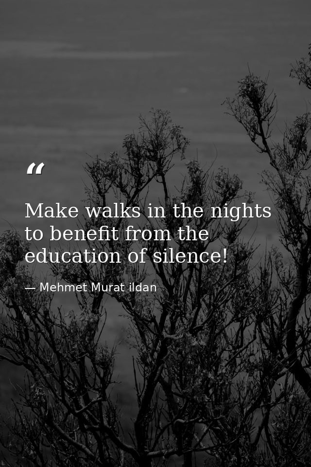 Make walks in the nights to benefit from the education of silence! — Mehmet Murat ildan