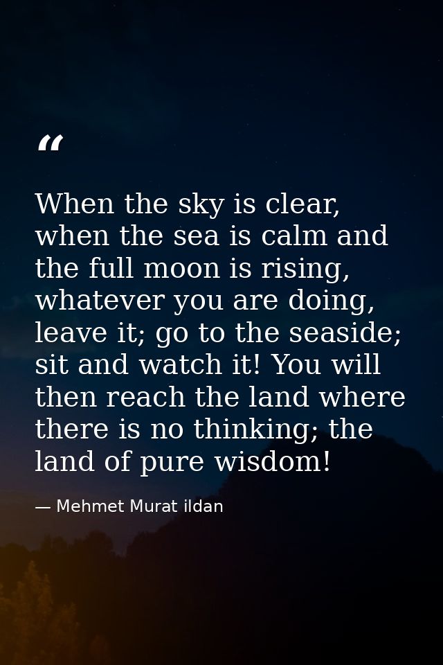 When the sky is clear, when the sea is calm and the full moon is rising, whatever you are doing, leave it; go to the sea — Mehmet Murat ildan
