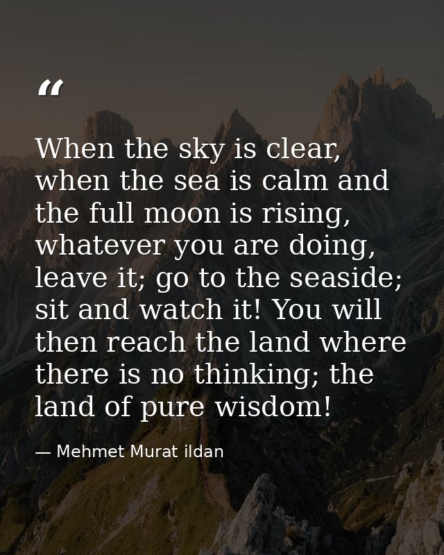 When the sky is clear, when the sea is calm and the full moon is rising, whatever you are doing, leave it; go to the sea — Mehmet Murat ildan