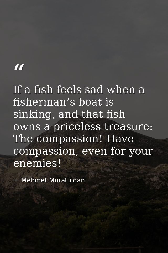 If a fish feels sad when a fisherman’s boat is sinking, and that fish owns a priceless treasure: The compassion! Have co — Mehmet Murat ildan