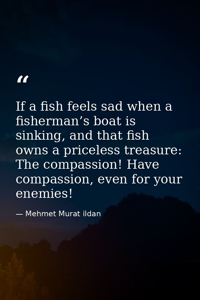 If a fish feels sad when a fisherman’s boat is sinking, and that fish owns a priceless treasure: The compassion! Have co — Mehmet Murat ildan