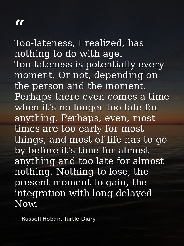 Too-lateness, I realized, has nothing to do with age. Too-lateness is potentially every moment. Or not, depending on the — Russell Hoban, Turtle Diary