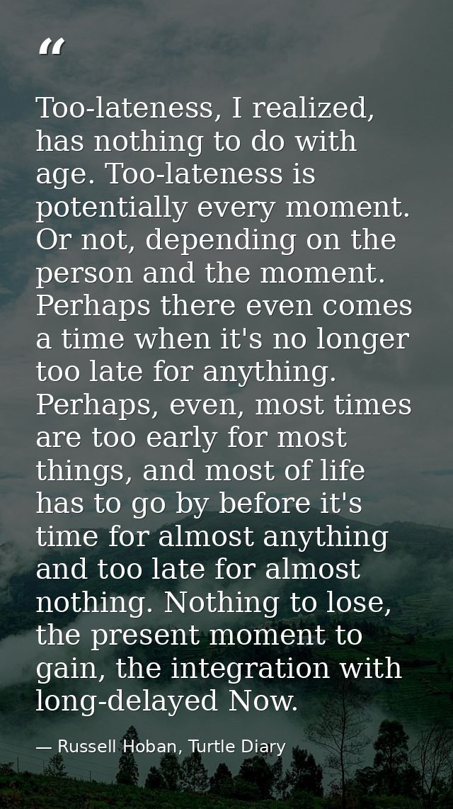 Too-lateness, I realized, has nothing to do with age. Too-lateness is potentially every moment. Or not, depending on the — Russell Hoban, Turtle Diary