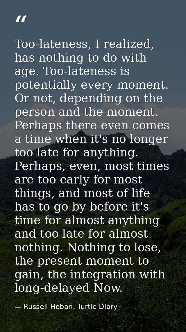 Too-lateness, I realized, has nothing to do with age. Too-lateness is potentially every moment. Or not, depending on the — Russell Hoban, Turtle Diary