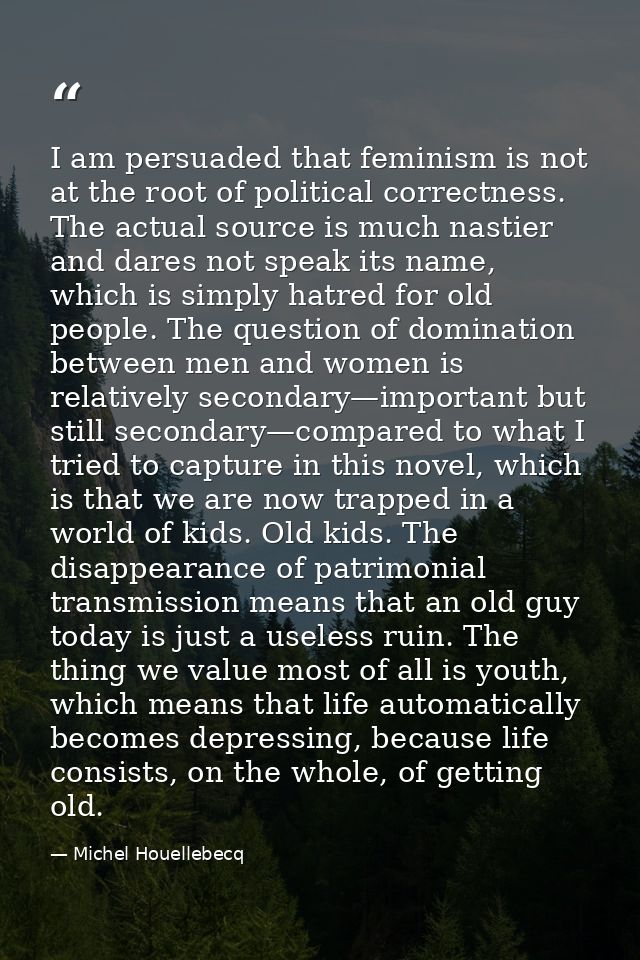 I am persuaded that feminism is not at the root of political correctness. The actual source is much nastier and dares no — Michel Houellebecq