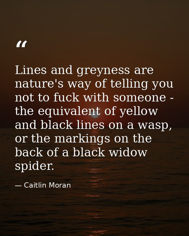 Lines and greyness are nature's way of telling you not to fuck with someone - the equivalent of yellow and black lines o — Caitlin Moran